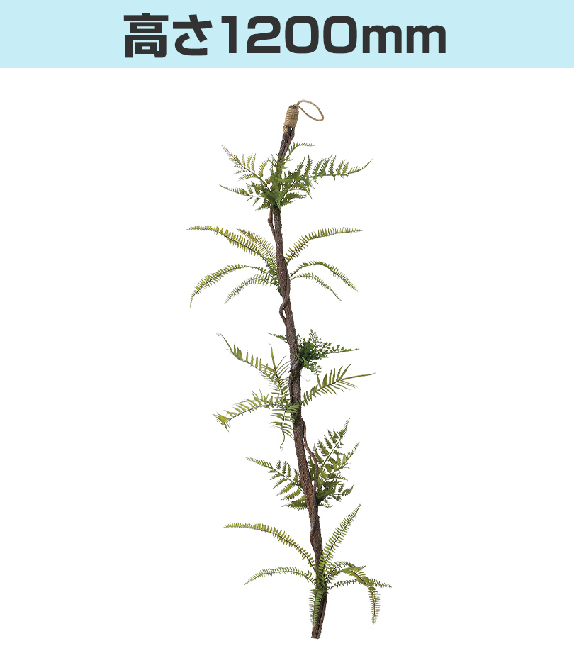 高さ1200mm
