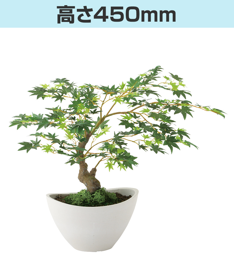 グリーン高さ450