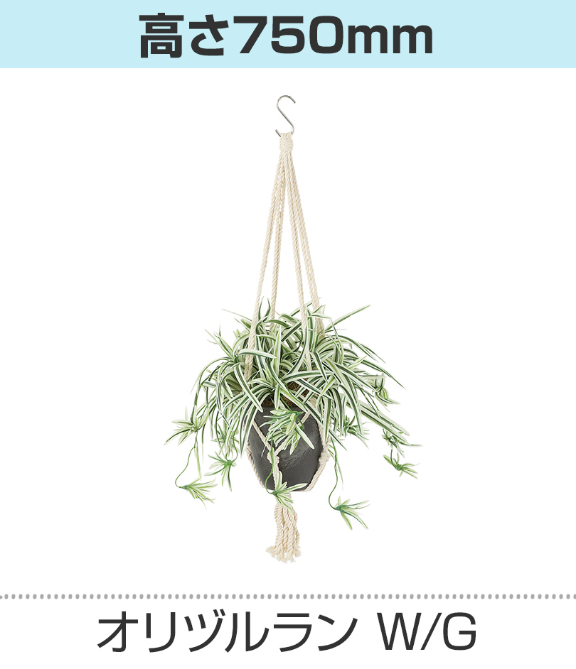 ホワイトグリーン