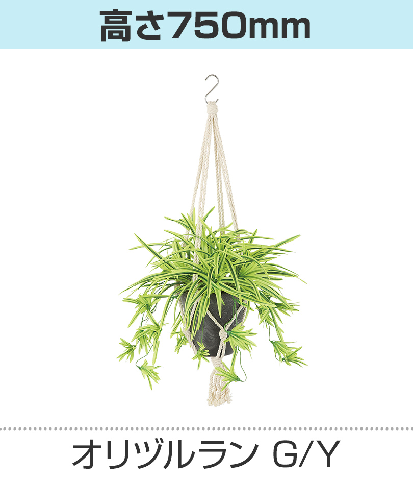 グリーンイエロー