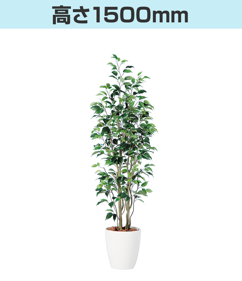 高さ1500mm