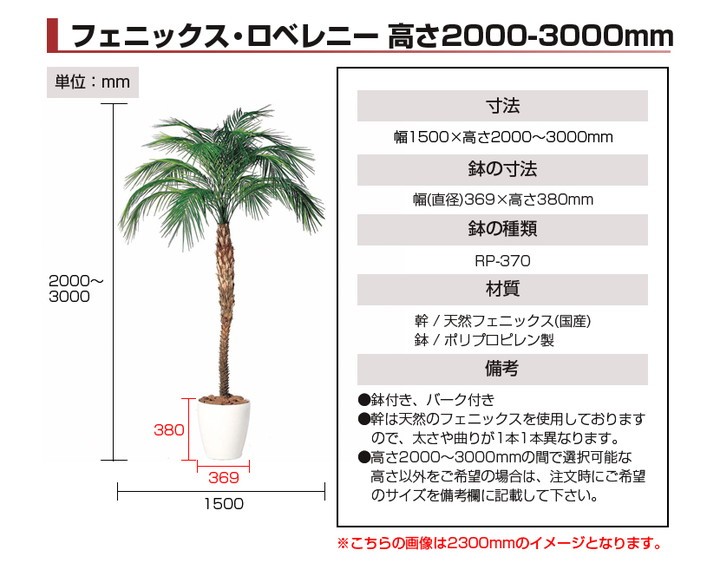 海外最新 観葉植物 人工 樹木 フェニックス ロベレニー 高さ00 3000mm Llサイズ 高さ指定可能 鉢 Rp 370 新品即決 Www Easterncaisson Com