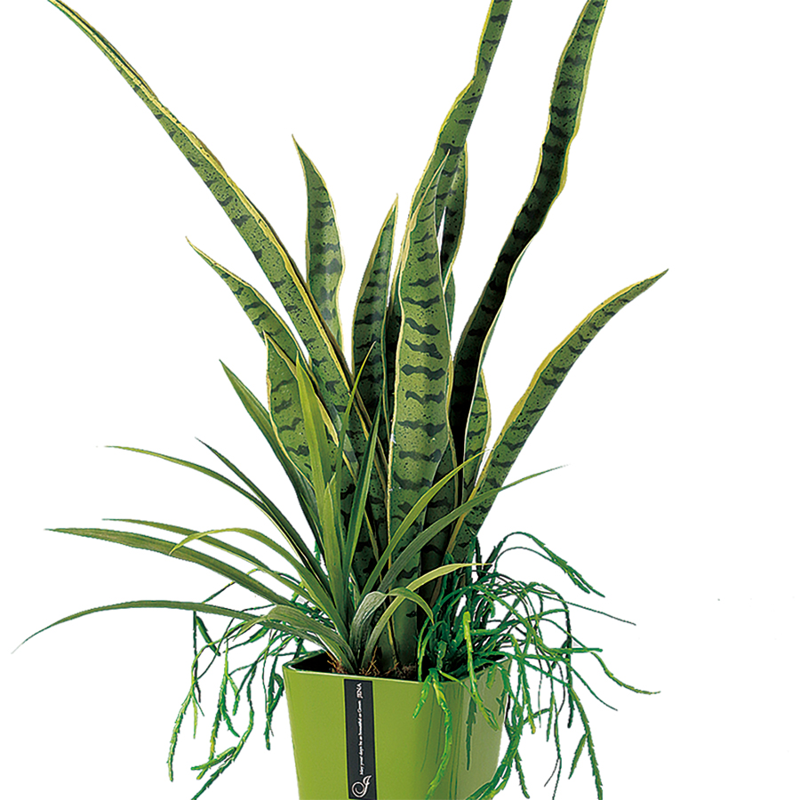 光触媒 サンスベリア アレンジ 幅30 × 奥行30 × 高さ90cm フェイクグリーン オフィスグリーン 観葉植物 フェイク 人工観葉植物 大型 移転祝いの画像