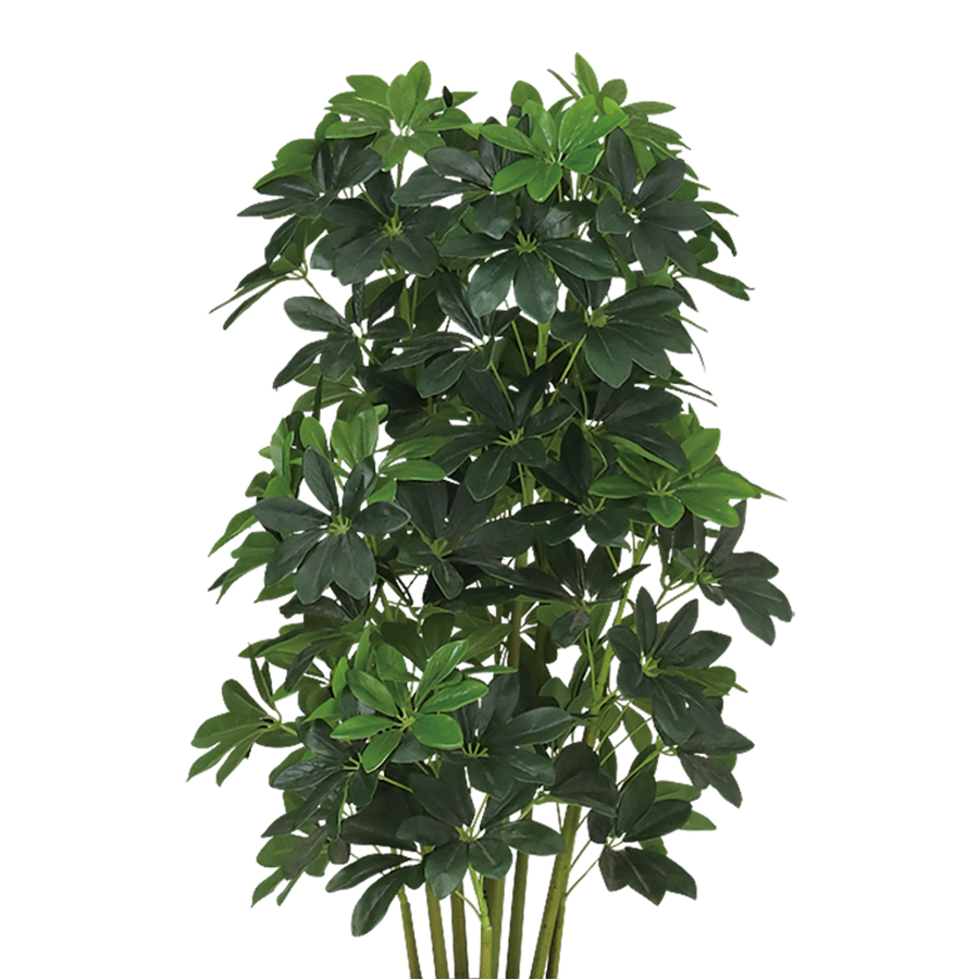 光触媒 グリーンカポック 幅50 × 奥行50 × 高さ100cm フェイクグリーン オフィスグリーン 観葉植物 フェイク 人工観葉植物 大型 移転祝い 開店祝いの画像