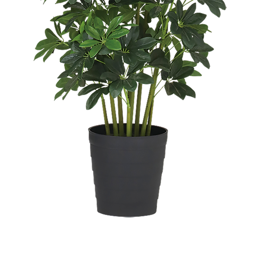 光触媒 グリーンカポック 幅50 × 奥行50 × 高さ100cm フェイクグリーン オフィスグリーン 観葉植物 フェイク 人工観葉植物 大型 移転祝い 開店祝いの画像