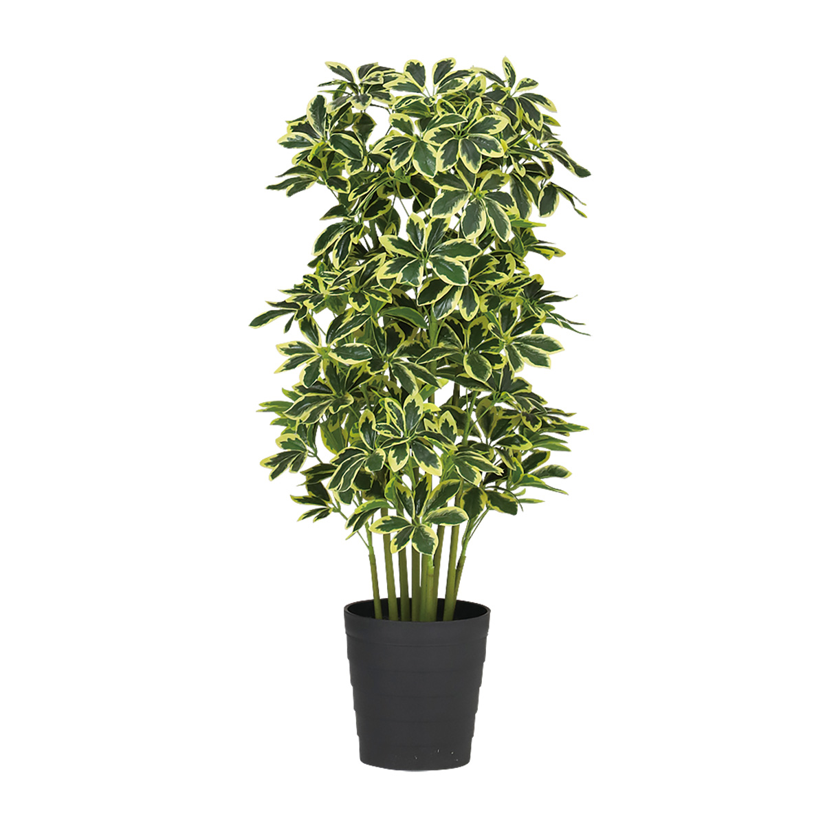 光触媒 イエローカポック 幅50 × 奥行50 × 高さ100cm フェイクグリーン オフィスグリーン 観葉植物 フェイク 人工観葉植物 大型 移転祝い 開店祝い