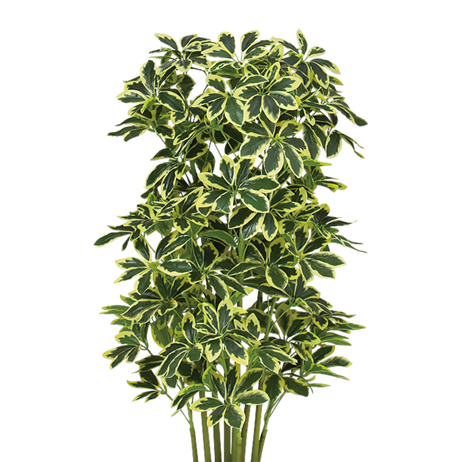光触媒 イエローカポック 幅50 × 奥行50 × 高さ100cm フェイクグリーン オフィスグリーン 観葉植物 フェイク 人工観葉植物 大型 移転祝い 開店祝いの画像