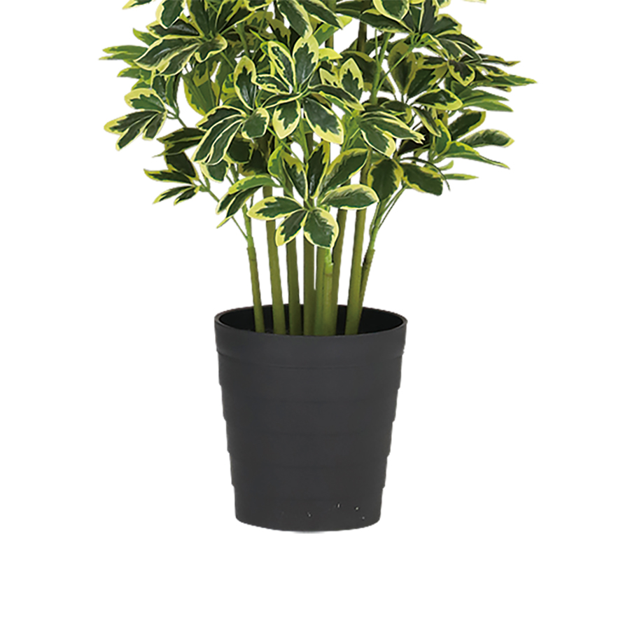 光触媒 イエローカポック 幅50 × 奥行50 × 高さ100cm フェイクグリーン オフィスグリーン 観葉植物 フェイク 人工観葉植物 大型 移転祝い 開店祝いの画像