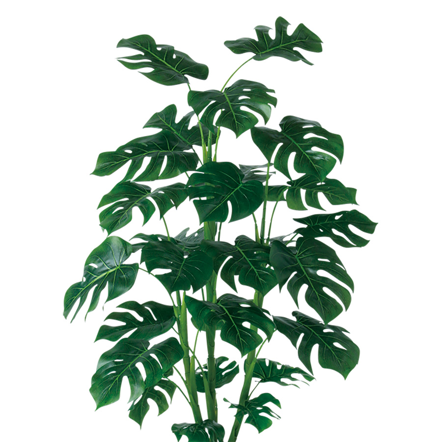 光触媒 モンステラ R 幅70 × 奥行70 × 高さ110cm フェイクグリーン オフィスグリーン 観葉植物 フェイク 人工観葉植物 大型 移転祝い 開店祝いの画像