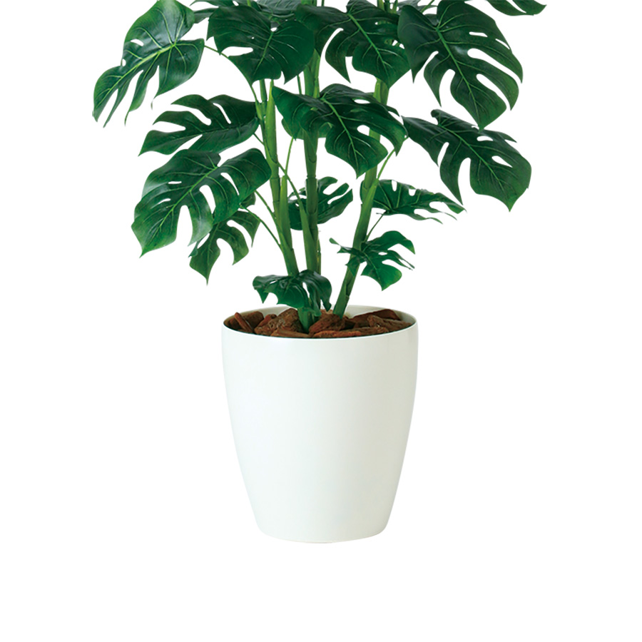 光触媒 モンステラ R 幅70 × 奥行70 × 高さ110cm フェイクグリーン オフィスグリーン 観葉植物 フェイク 人工観葉植物 大型 移転祝い 開店祝いの画像