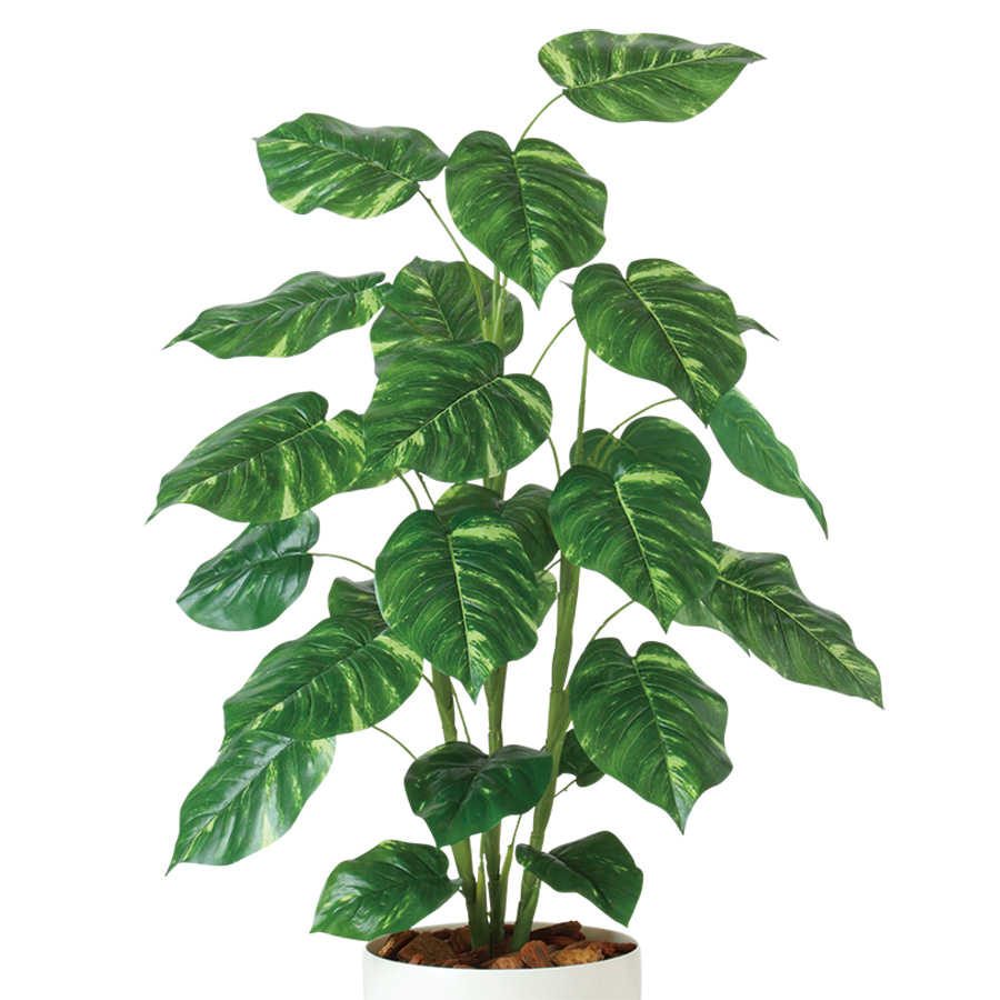光触媒 ポトス R 幅70 × 奥行70 × 高さ110cm フェイクグリーン オフィスグリーン 観葉植物 フェイク 人工観葉植物 大型 移転祝い 開店祝いの画像