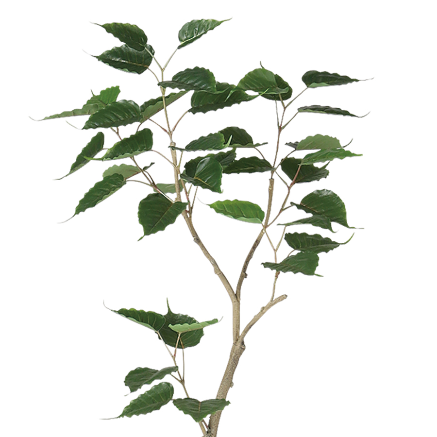 インドボダイジュ FST 幅50 × 奥行45 × 高さ120cm フェイクグリーン オフィスグリーン 観葉植物 フェイク 人工観葉植物 大型 移転祝い 開店祝いの画像