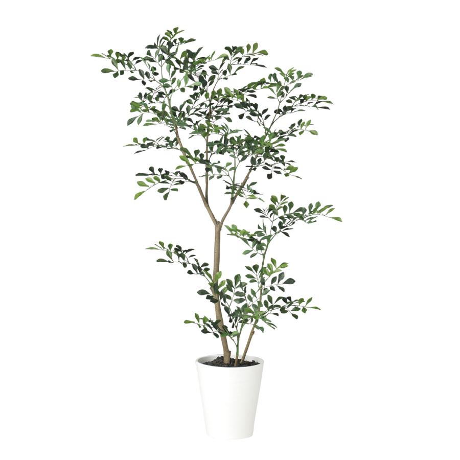 ブランド トネリコ FST W60 × D50 × H120cm フェイクグリーン 人工観葉植物 移転祝い 【2744905014】(17970円)