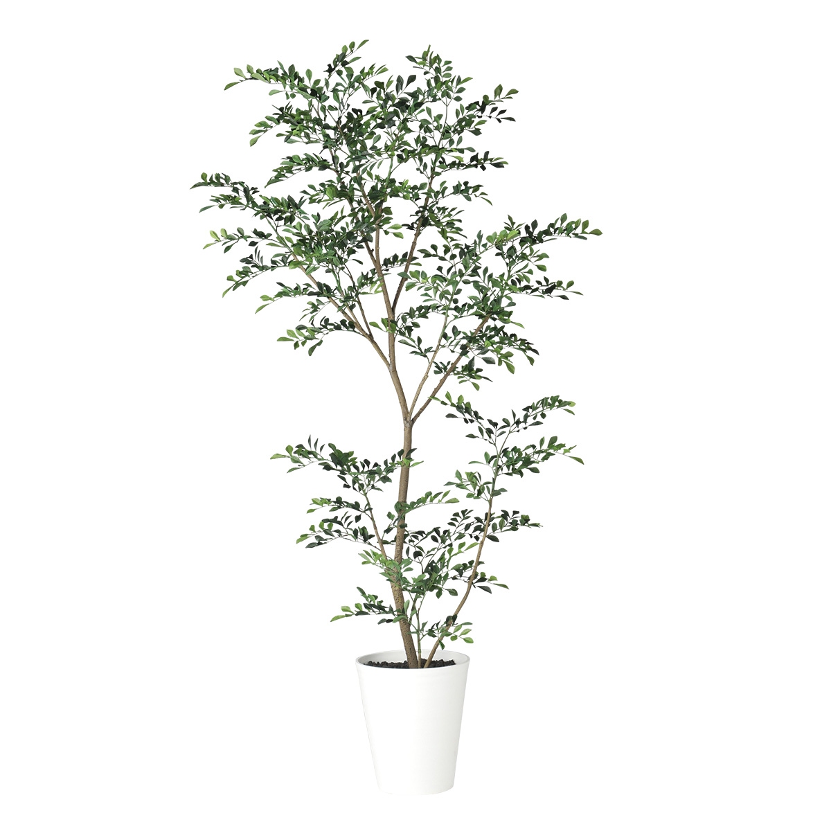 光触媒 トネリコ FST　幅80 × 奥行70 × 高さ180cm　フェイクグリーン オフィスグリーン 観葉植物 フェイク 人工観葉植物 大型 移転祝い 開店祝い