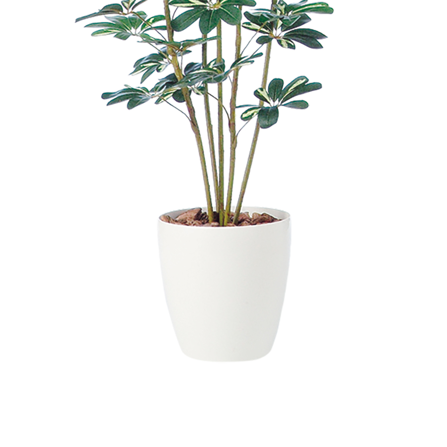 光触媒 シェフレラ　幅80 × 奥行80 × 高さ180cm　フェイクグリーン オフィスグリーン 観葉植物 フェイク 人工観葉植物 大型 移転祝い 開店祝い_2