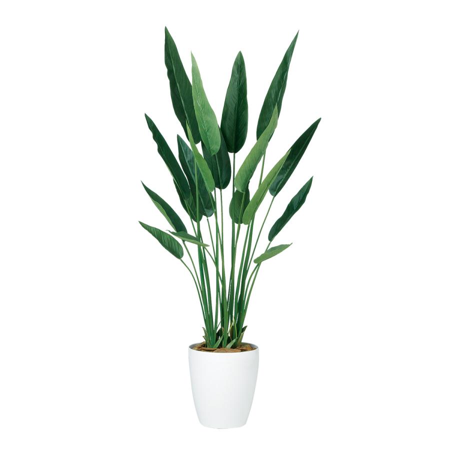 新作マット・カーペット ストレリチア・レギネ W70 × D70 × H130cm フェイクグリーン 人工観葉植物 移転祝い 【2932021075】 (19195円)