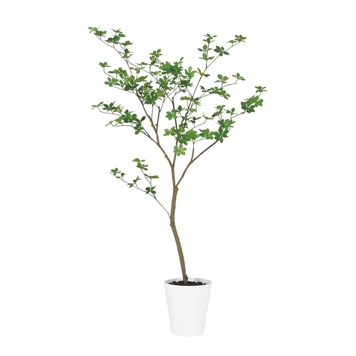 ドウダンツツジ FST 幅70 × 奥行65 × 高さ130cm フェイクグリーン オフィスグリーン 観葉植物 フェイク 人工観葉植物 大型 移転祝い 開店祝い