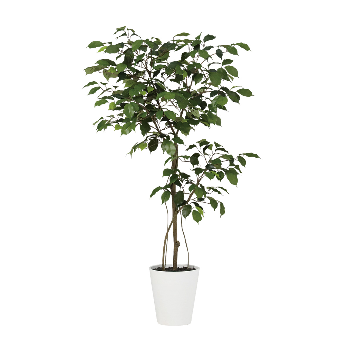 ベンジャミン FST　幅60 × 奥行50 × 高さ120cm　フェイクグリーン オフィスグリーン 観葉植物 フェイク 人工観葉植物 大型 移転祝い 開店祝い