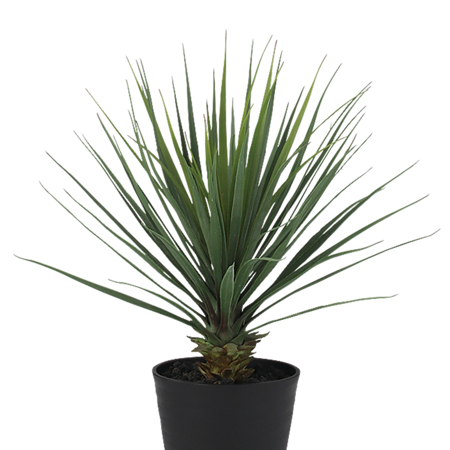 ユッカ ロストラータ（人工観葉、フェイクグリーン） | 花