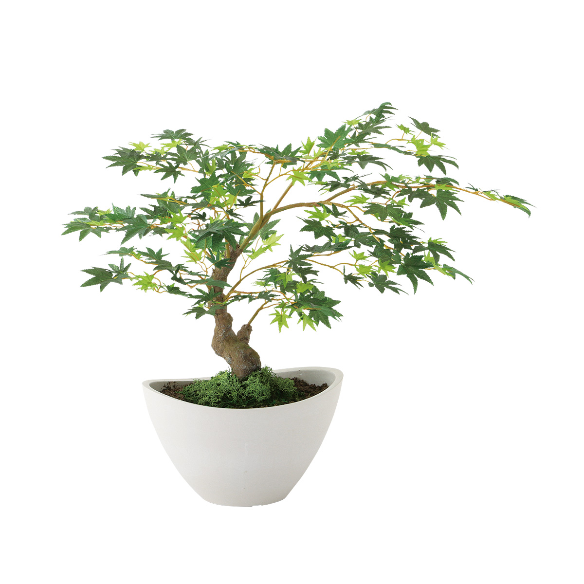 光触媒 ヤマモミジ ボウル GREEN　幅50 × 奥行50 × 高さ45cm　フェイクグリーン オフィスグリーン 観葉植物 フェイク 人工観葉植物 大型 移転祝い 開店祝い