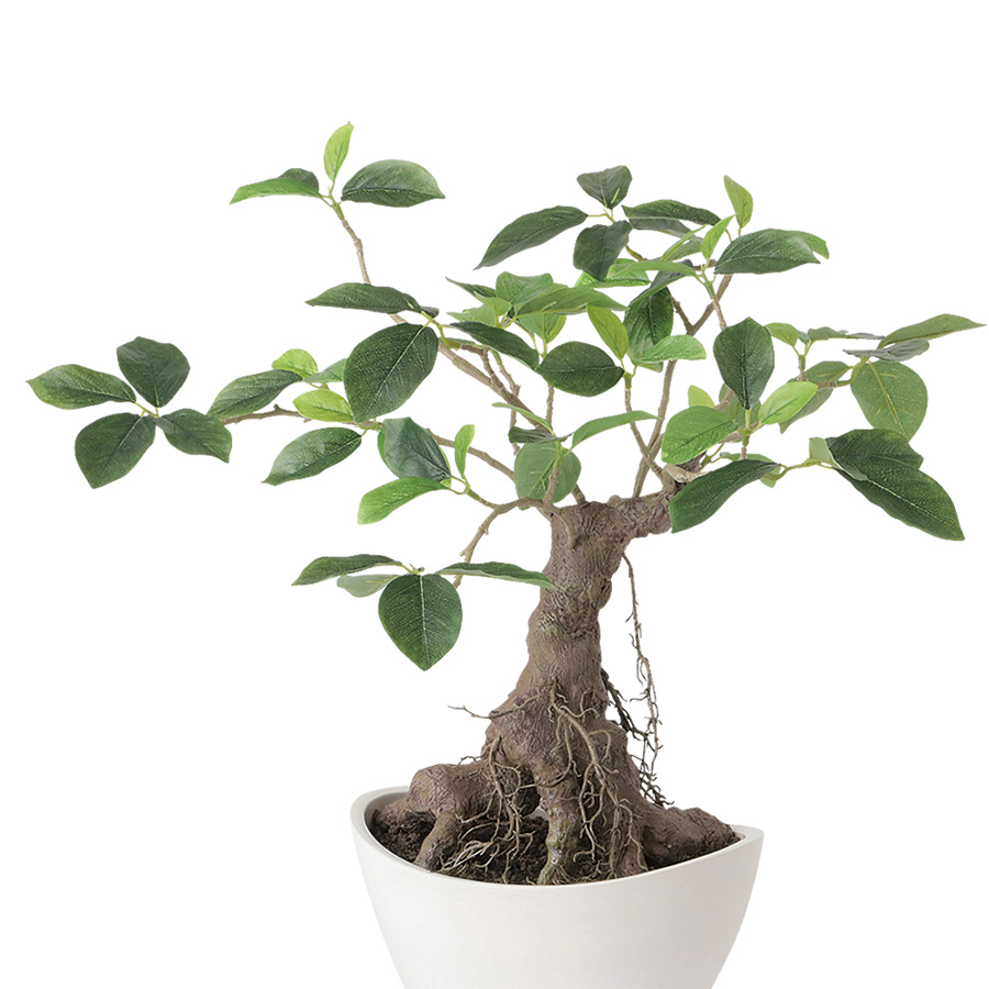 ガジュマル ボウル 幅45 × 奥行45 × 高さ50cm フェイクグリーン オフィスグリーン 観葉植物 フェイク 人工観葉植物 大型 移転祝い 開店祝いの画像