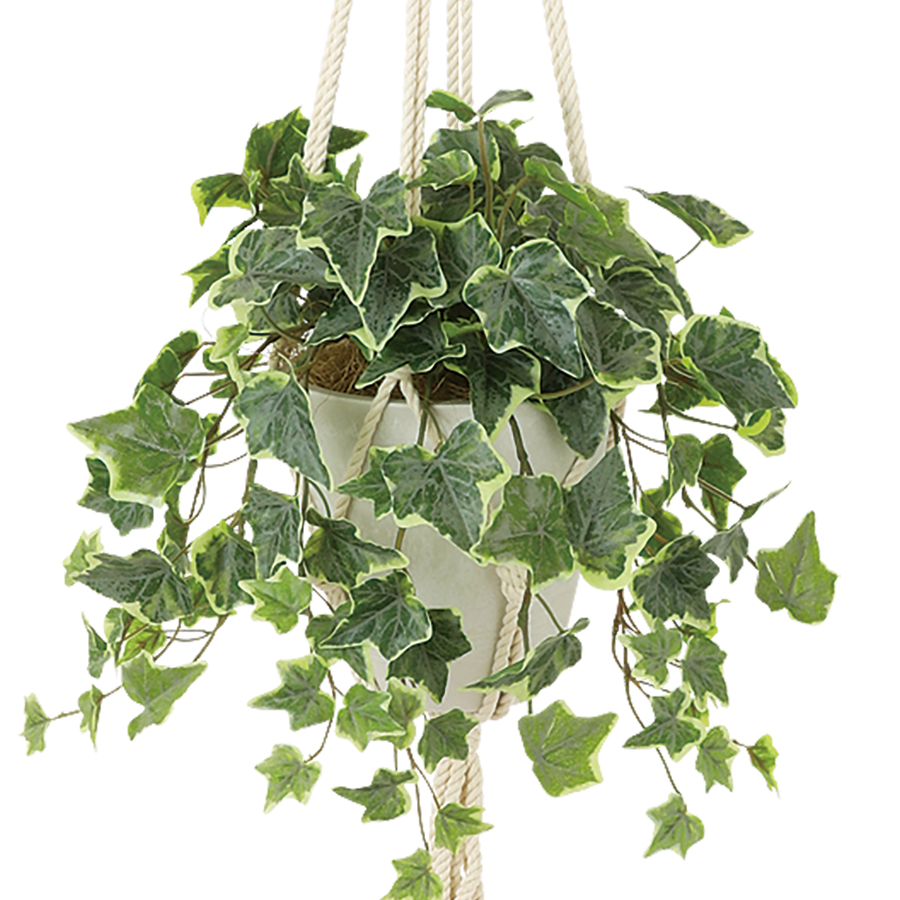グレイシアアイビー 幅40 × 奥行40 × 高さ25 × 長さ35cm（約75cm） フェイクグリーン オフィスグリーン 観葉植物 フェイクの画像