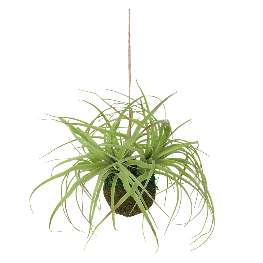 チランジア モスボール　幅30 × 奥行30 × 長さ23cm（長さ43cm）　フェイクグリーン 人工観葉植物 オフィスグリーン 装飾 アレンジ おしゃれ