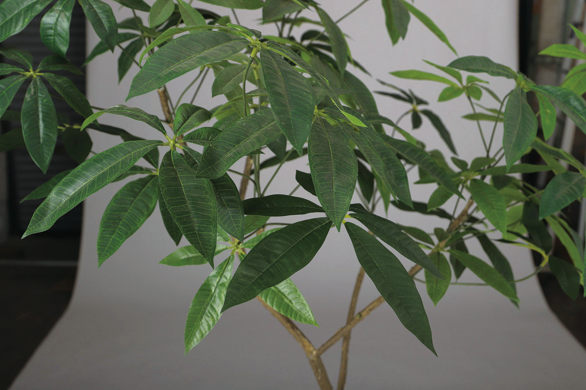 光触媒 パキラ FST　幅80 × 奥行70 × 高さ150cm　フェイクグリーン オフィスグリーン 観葉植物 フェイク 人工観葉植物 大型 移転祝い 開店祝い_3