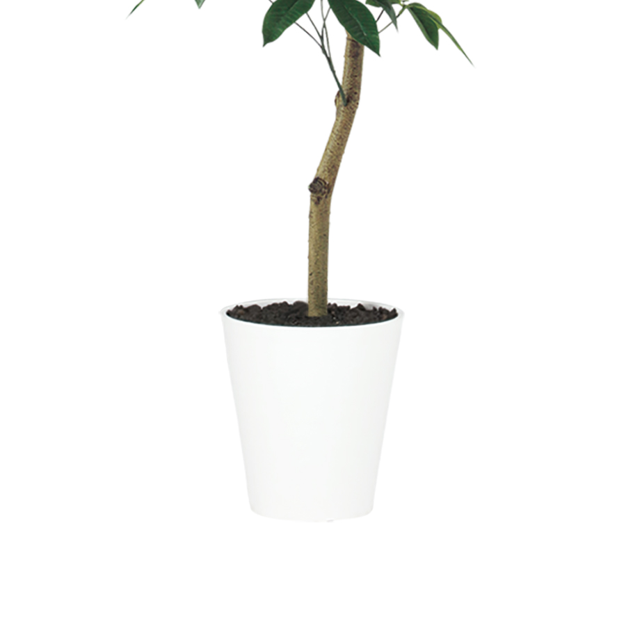 光触媒 パキラ FST　幅80 × 奥行70 × 高さ150cm　フェイクグリーン オフィスグリーン 観葉植物 フェイク 人工観葉植物 大型 移転祝い 開店祝い_2