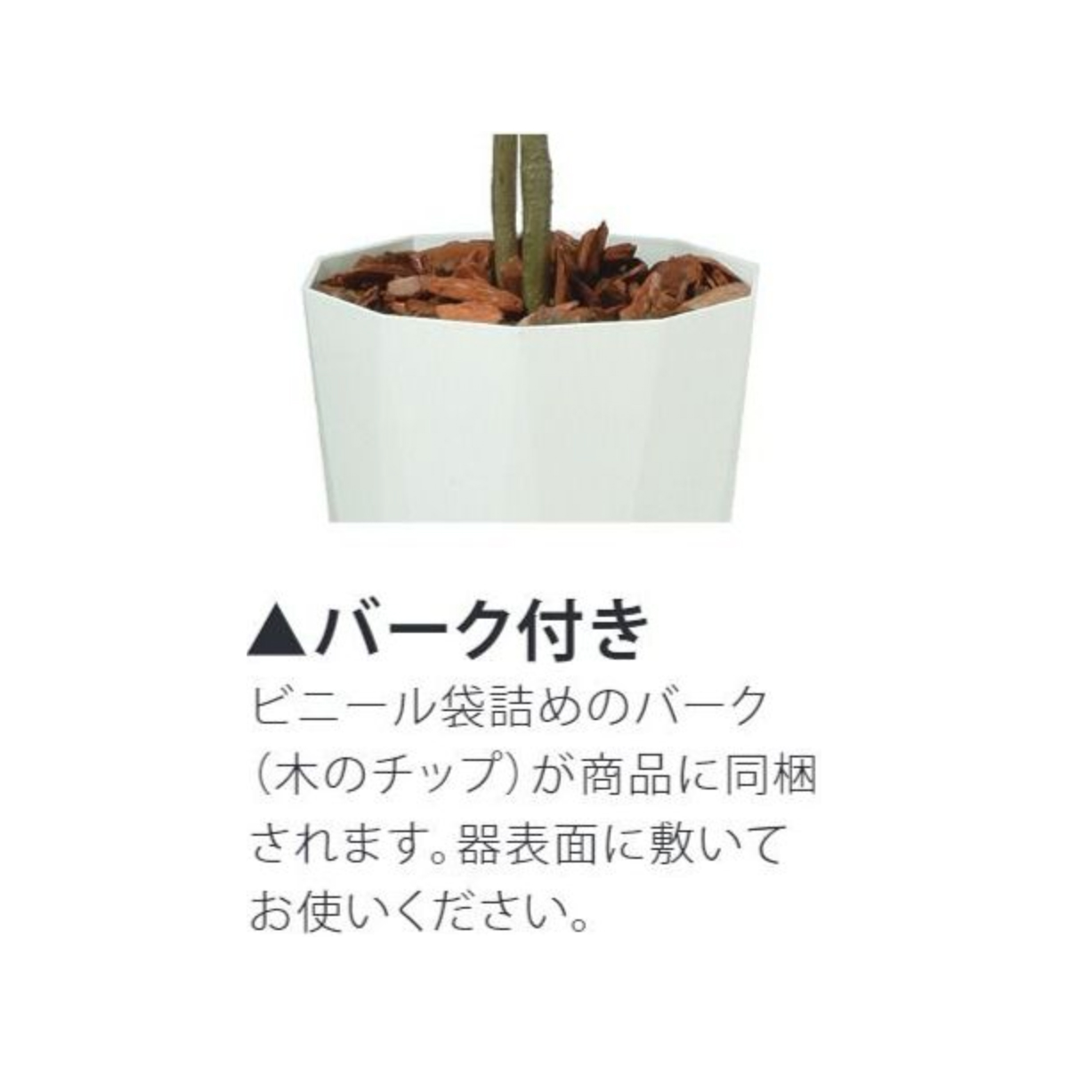 新作マット・カーペット ストレリチア・レギネ W70 × D70 × H130cm フェイクグリーン 人工観葉植物 移転祝い 【2932021075】 (19195円)