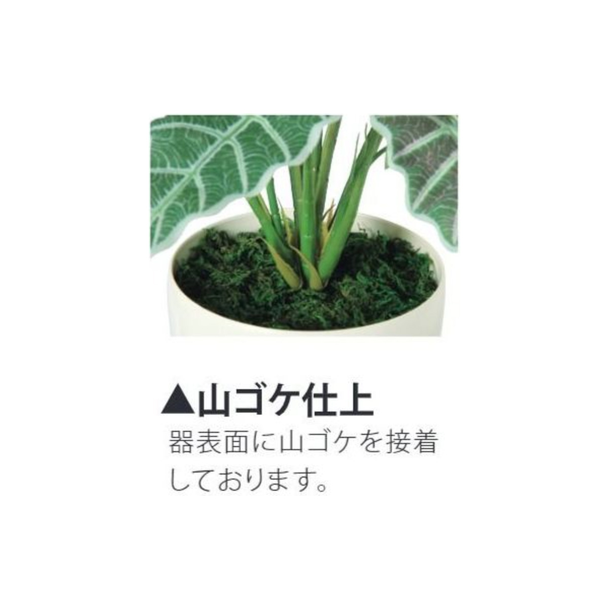 光触媒 アローカシア　幅45 × 奥行45 × 高さ50cm　フェイクグリーン オフィスグリーン 観葉植物 フェイク 人工観葉植物 大型 移転祝い 開店祝い 開業祝い｜officegreen｜03