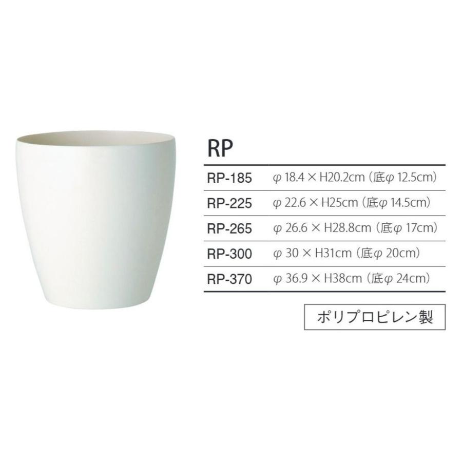 新作マット・カーペット ストレリチア・レギネ W70 × D70 × H130cm フェイクグリーン 人工観葉植物 移転祝い 【2932021075】 (19195円)