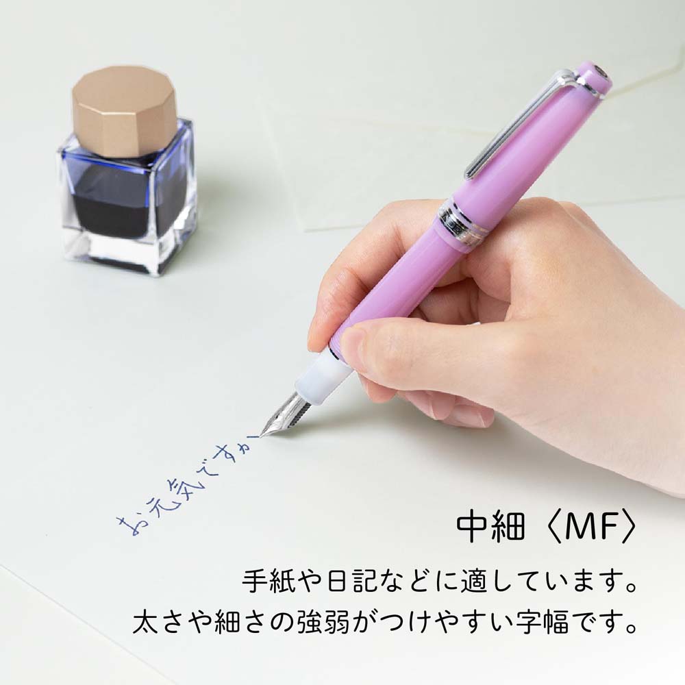 驚きの価格が実現！ セーラー万年筆 sailor 中 羚羊（かもしか） 万年筆 山水 四季織 筆記具