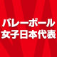 2024バレーボール女子日本代表