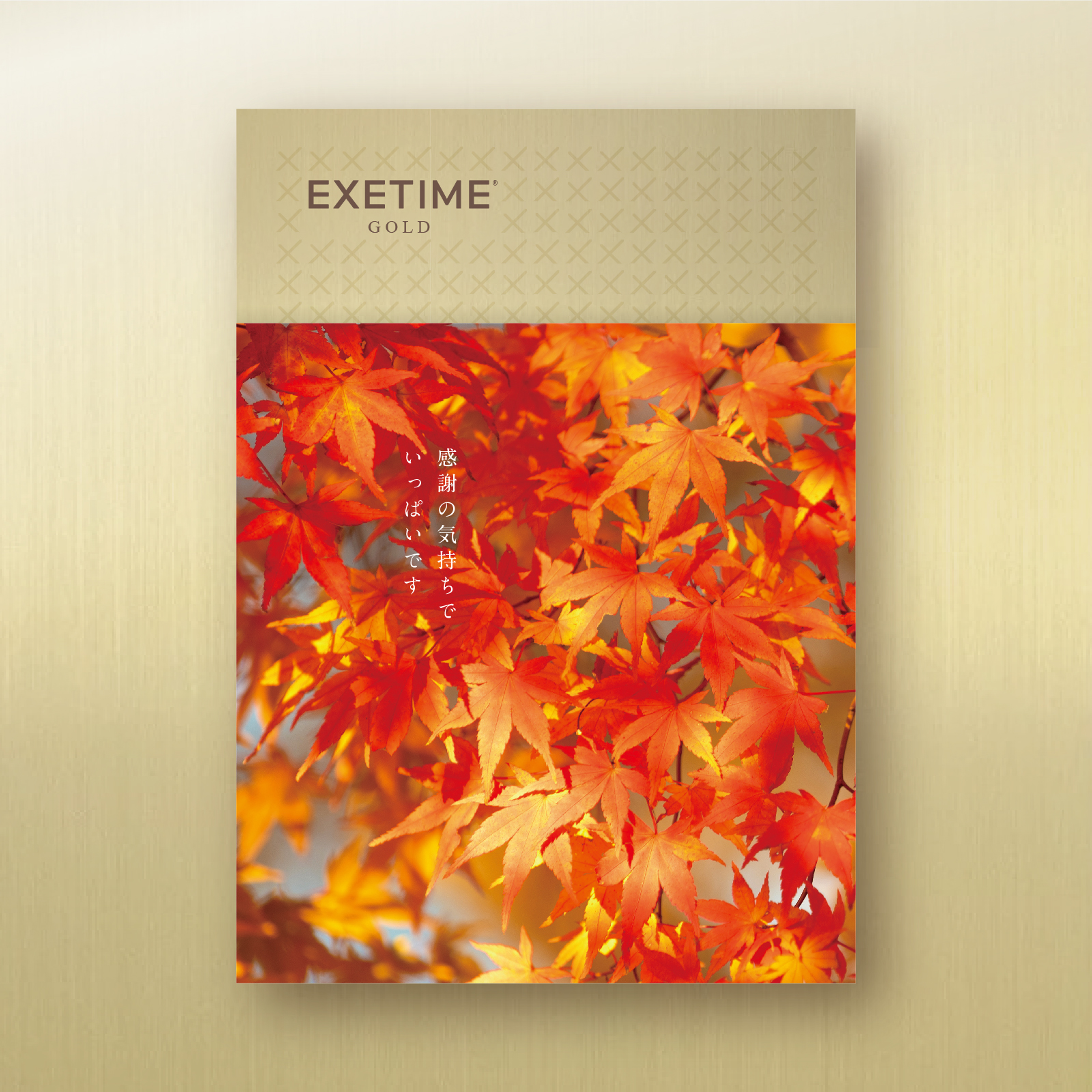 EXETIME（エグゼタイム） 旅行券 カタログギフト 180日期限 公式