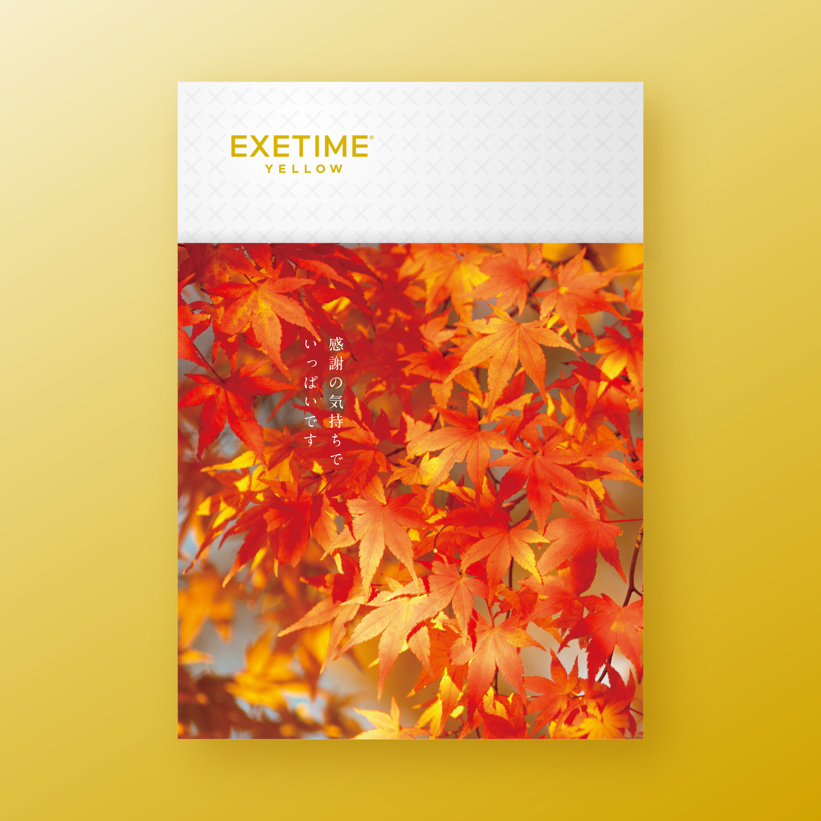 EXETIME（エグゼタイム） カタログギフト 新築祝い 無期限 公式