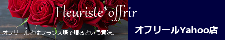 offrirオフリール ヘッダー画像