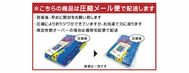 メール便送料無料 ポケモン ポケットモンスター タオルケット ハーフサイズ 85×115cm 綿100％ お昼寝ケット 保育園 幼稚園 おひるねケット okt |  | 05