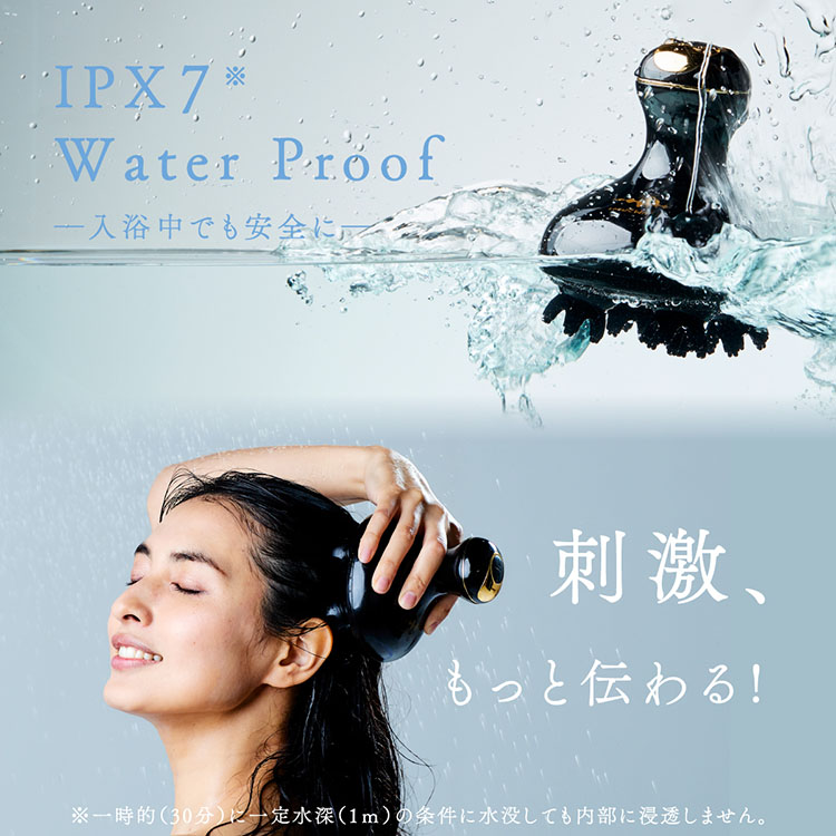 WAVEWAVE EMS Scalp Head SPA スカルプヘッドスパ 頭皮ケア 顔筋ケア 