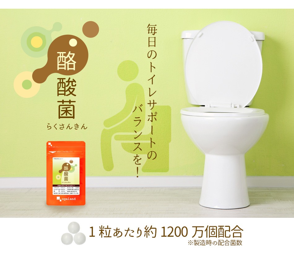 量 酪酸菌 250mg×30粒(3个セット约3ヶ月分) 原材料 还元麦芽糖水饴