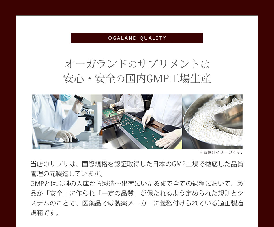 酒皇 （約6ヶ月分） 田七人参 しゅおう クルクミン サプリ うこん サプリメント 牡蠣 亜鉛 マカ イチョウ葉 配合 アズレン カンファ― ミネラル  ポリフェノール ウコン