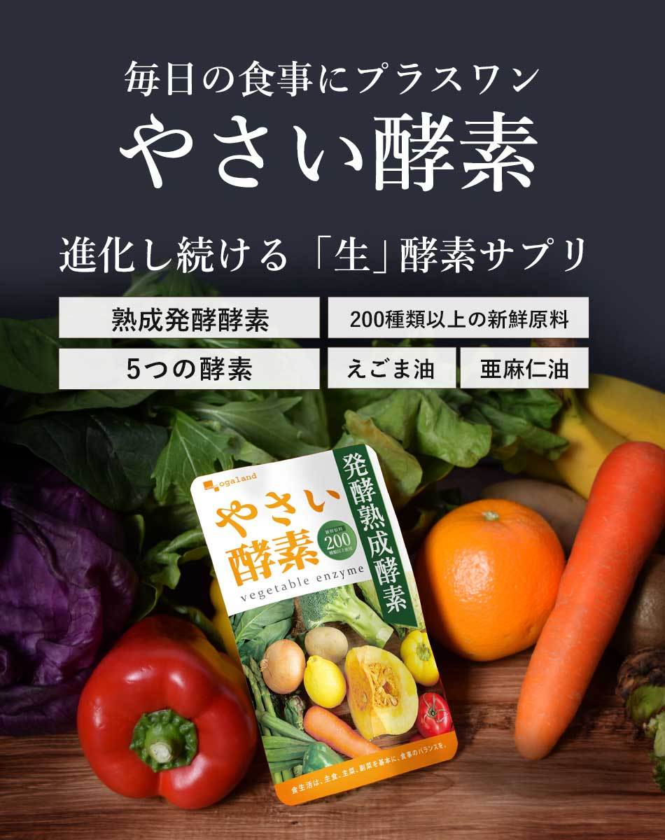 超醗酵 酵素粒377 栄養補助食品 ダイエット サプリ 美容 健康 野菜不足