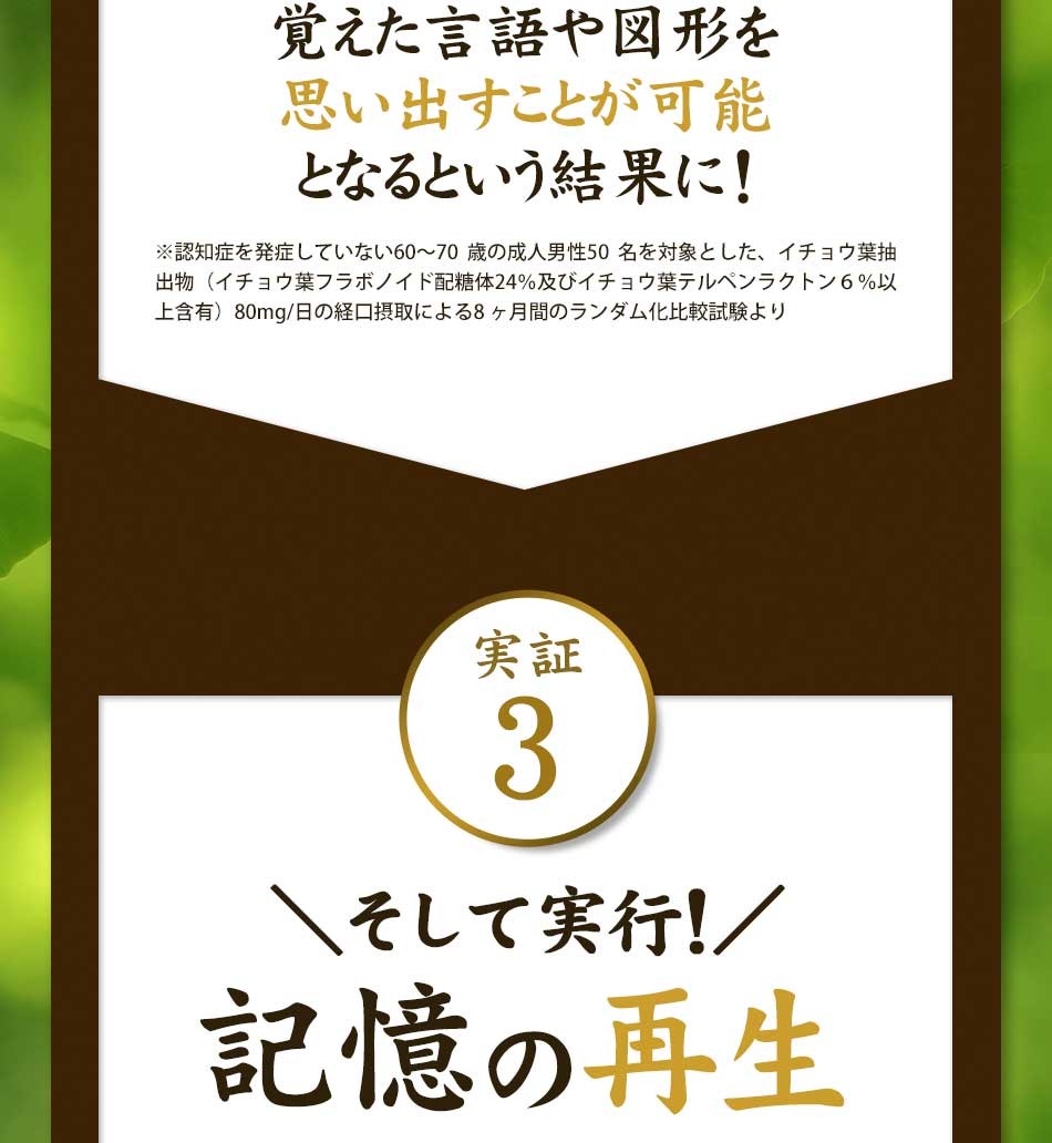 イチョウ葉 機能性表示食品 サプリメント 記憶 の保持 サプリ 記憶力 の低下が気になる方に ポリフェノール 送料無料 約1ヶ月分 オーガランド Paypayモール店 通販 Paypayモール