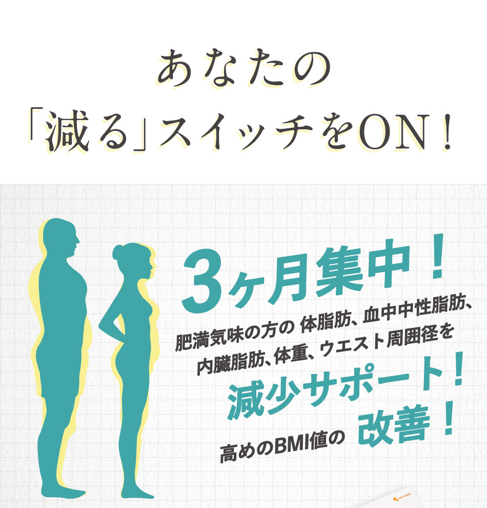 ヘルスイッチ 激安セール 機能性表示食品 約3ヶ月分 サプリ 肥満 内臓脂肪 体脂肪 ウエスト 体重 送料無料 Bmi 中性脂肪 オーガランド