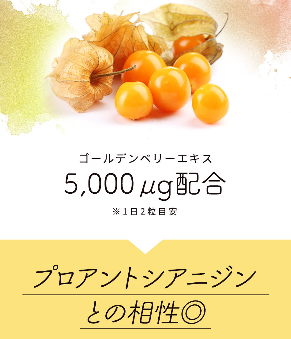 賞味期限最短2023年9月末まで 太陽のぶどう （約1ヶ月分） サプリ ゴールデンベリー 美容 エイジングケア プロアントシアニジン サプリメント  外出 アウトドア :b-tb1:オーガランド Yahoo!店 - 通販 - Yahoo!ショッピング