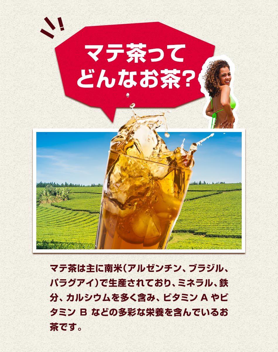 マテ茶 （30包） ダイエット ロースト 残留 農薬 検査 済 ビタミン