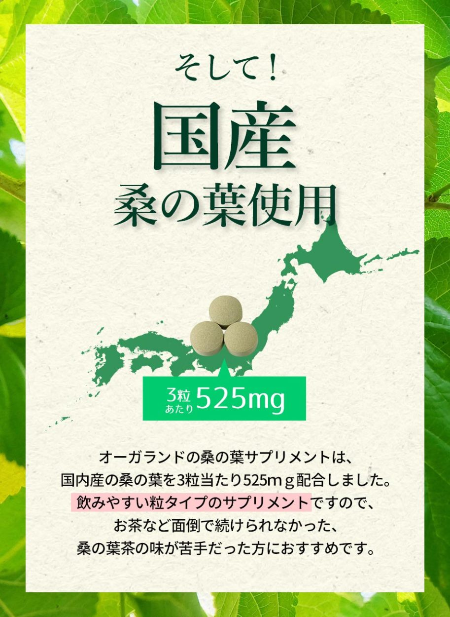 返品不可】 カルシウム 鉄 食物繊維 ダイエット フラボノイド DEAL3202 ビタミンc 桑の葉 サプリメント 亜鉛