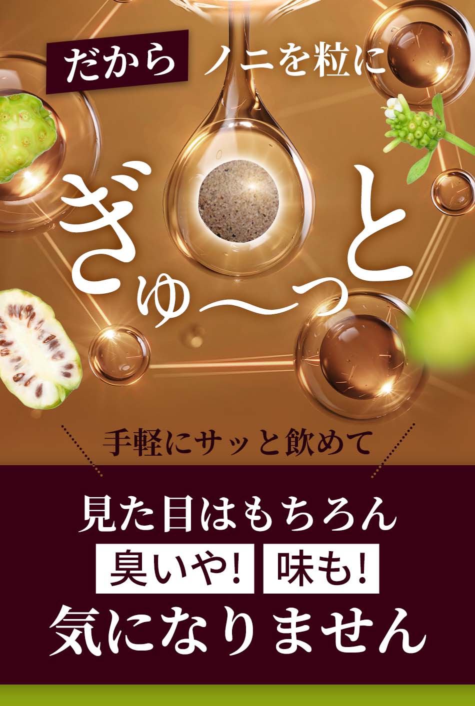 ogaland（オーガランド） ノニ粒 （約3ヶ月分）健康 ダイエット
