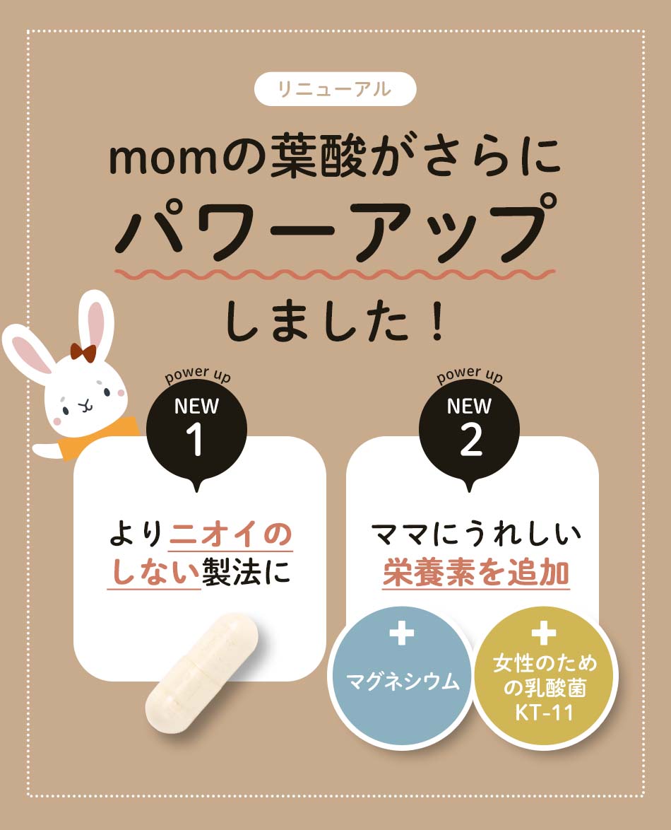 momの葉酸 （約3ヶ月分） 葉酸 サプリ 妊活 妊娠 妊婦 ニオイをおさえ