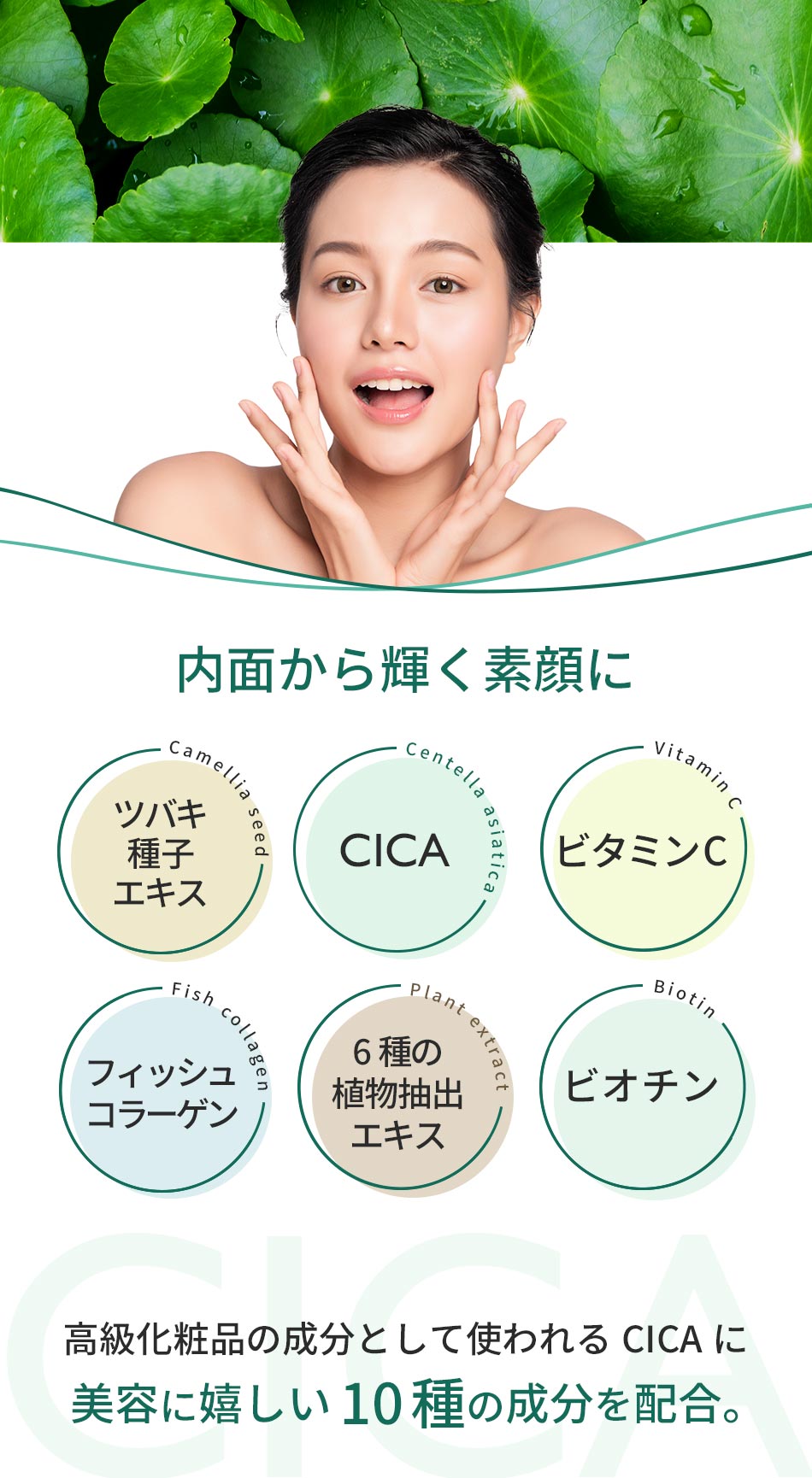 オーガランド ogaland CICA 360粒 約6ヶ月分 シカ サプリ スキンケア ツボクサ ビオチン ogaland オーガランド CICA サプリ 約3ヶ月分 3個セット ビタミンC サプリメント ハトムギ 美容 コラーゲン ビオチン 韓国で話題の シカ 1日2粒 ポイント利用 オーガ